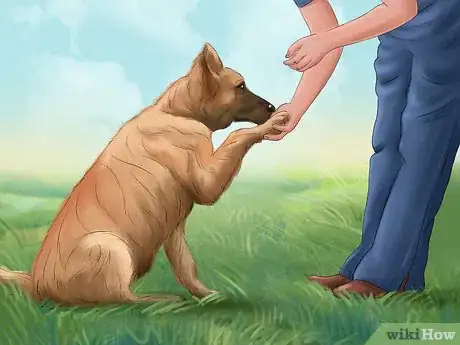 Image titled Teach Your Dog "On By" Step 7